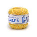 ISPE Cablé 113